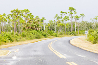 Common Florida Road Hazards